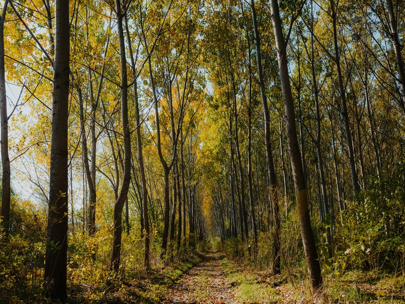 How Can You Make A Difference To The Environment? How Can You Make A Difference To The Environment?